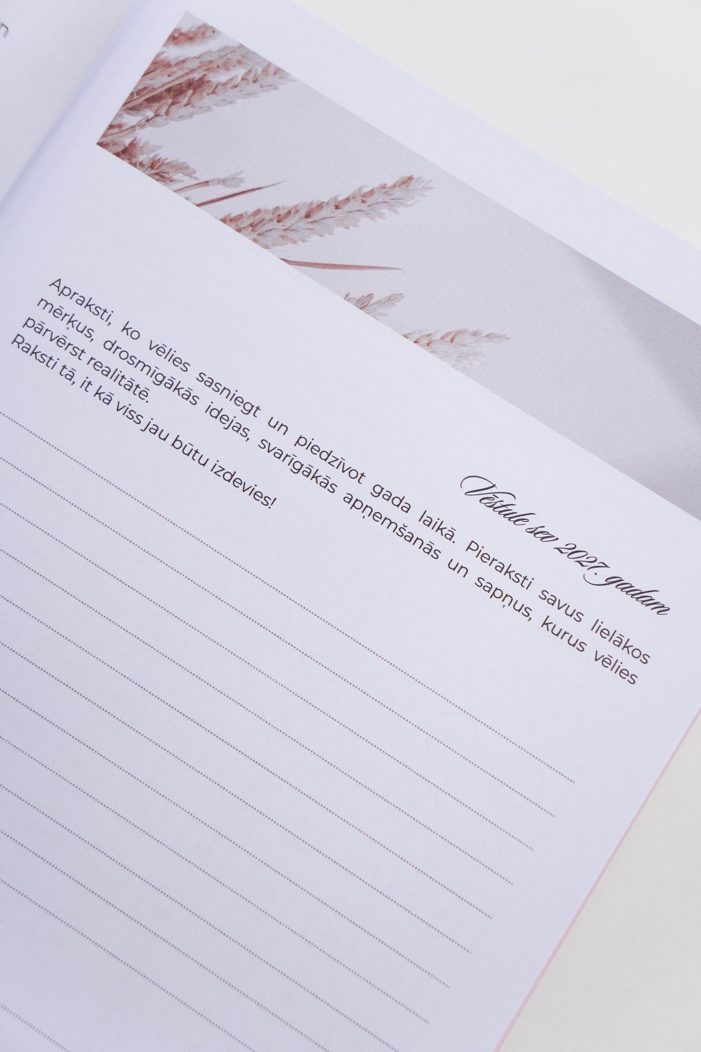 JAUNUMS. PŪDERROZĀ. Zīmola Dream Light Planner 2027 – elegants nedēļas plānotājs